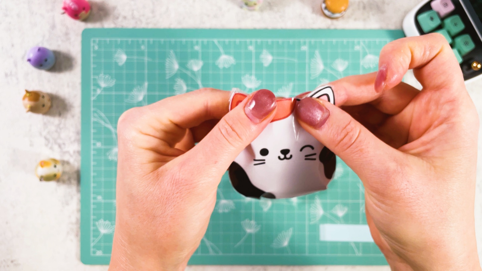 Se presiona un pedazo de cinta transparente sobre la abertura entre las orejas del gato