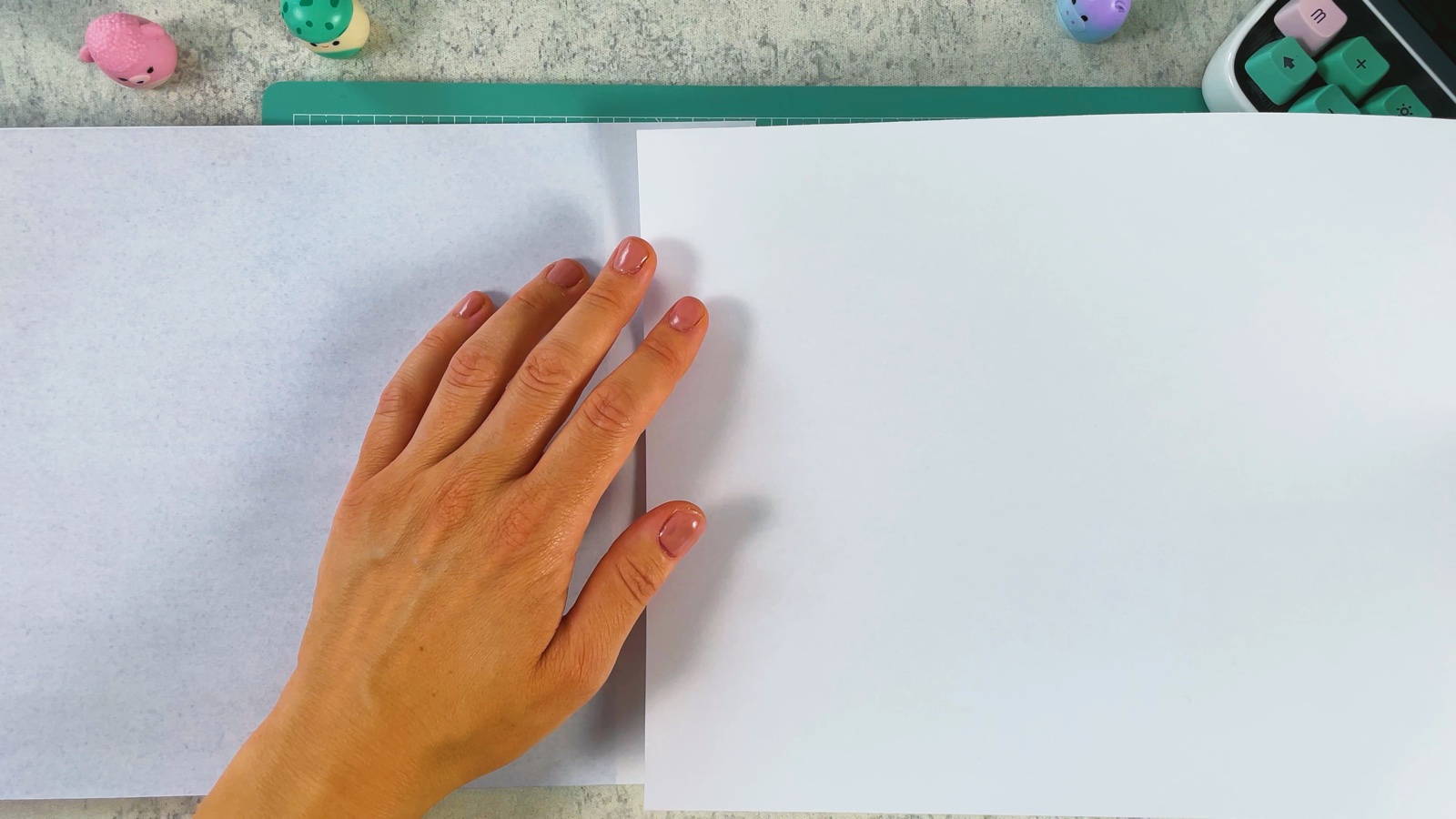 Deux feuilles blanches pressées l’une contre l’autre là où leurs bords collés se chevauchent
